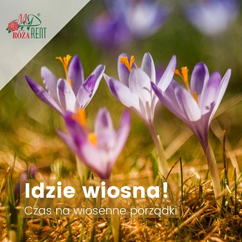 Idzie wiosna: czas na wiosenne porządki!