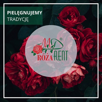 Skąd się wzięły nazwa i logo Róża Rent?