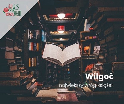 Wilgoć - największy wróg książek. Jak uratować je przed pleśnią?