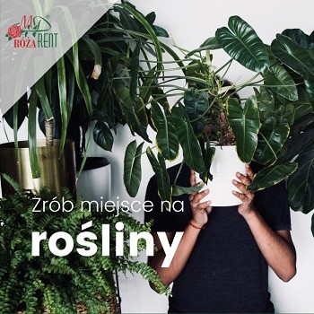 Za mało miejsca na rośliny? Jest na to sposób!